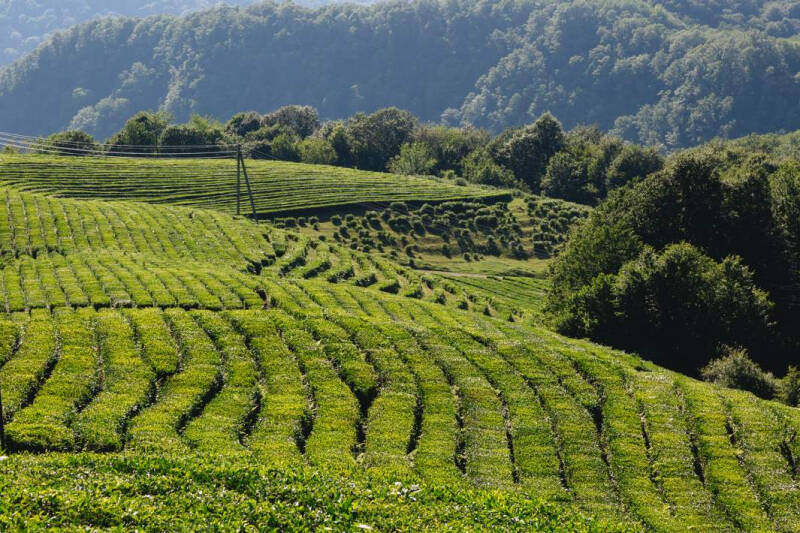 К вершинам &mdash; сплавы: чем интересна Кубань без Черноморья