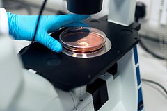 Разработана борющаяся с раком горла молекула