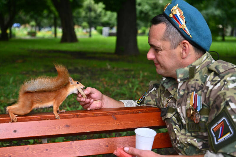 Полковник Ходаренок заявил о необходимости реформ в ВДВ